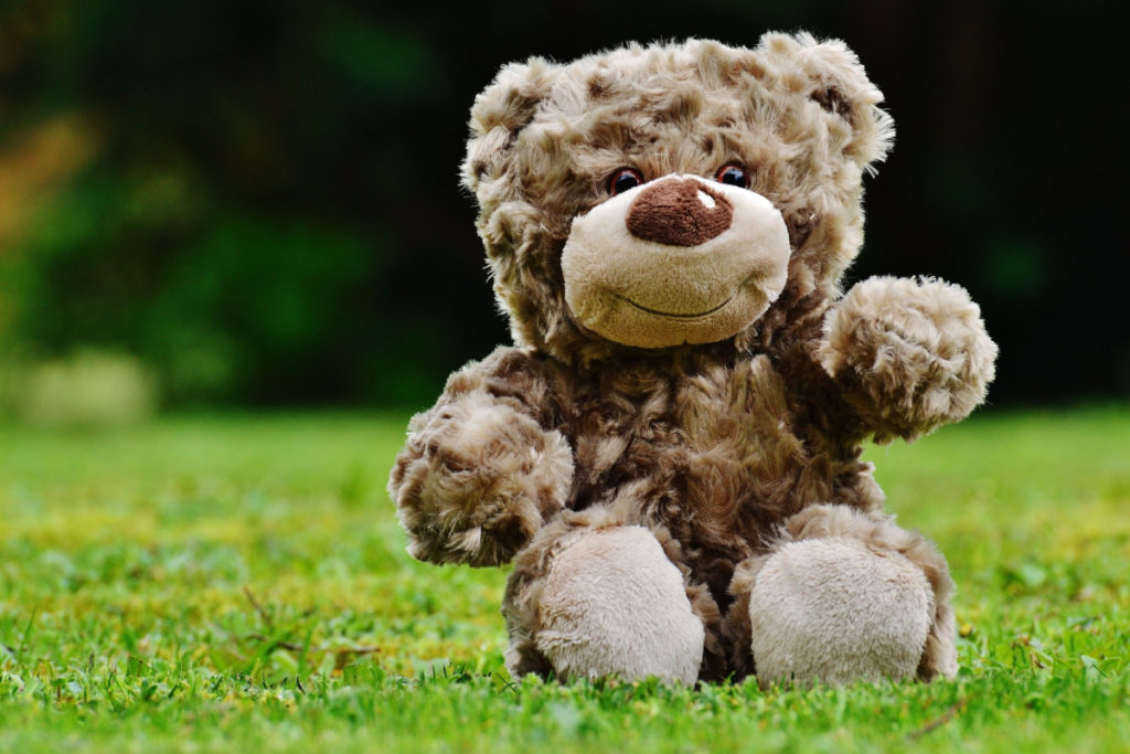 A Teddy Bear's Picnic in the Park event will coincide with the free screening of Paddington 2 next week.