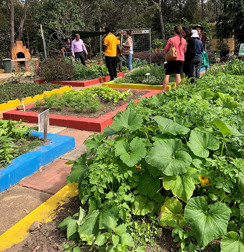 The Harmony Garden features a range of plants.