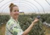 Multikraft Australian Biotech Agricultural Centre of Excellence part owner Jilli O'brien with her blueberry plantings