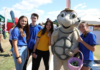 St Lukes Community Fair
