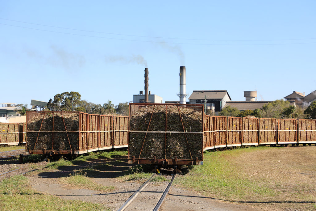 Bundaberg Sugar diversify