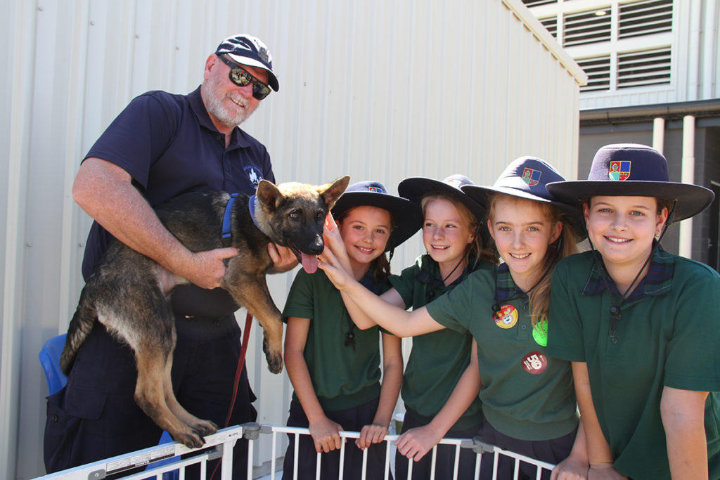 Day for Daniel Bundaberg