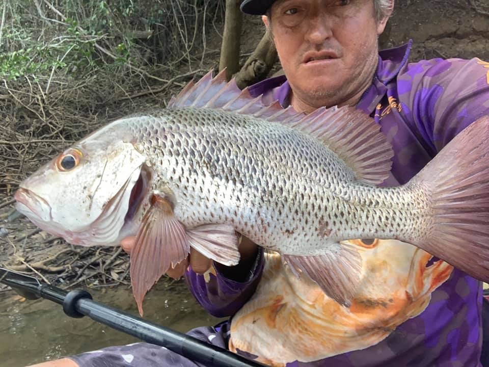 Dan Robson caught this great Mangrove Jack.