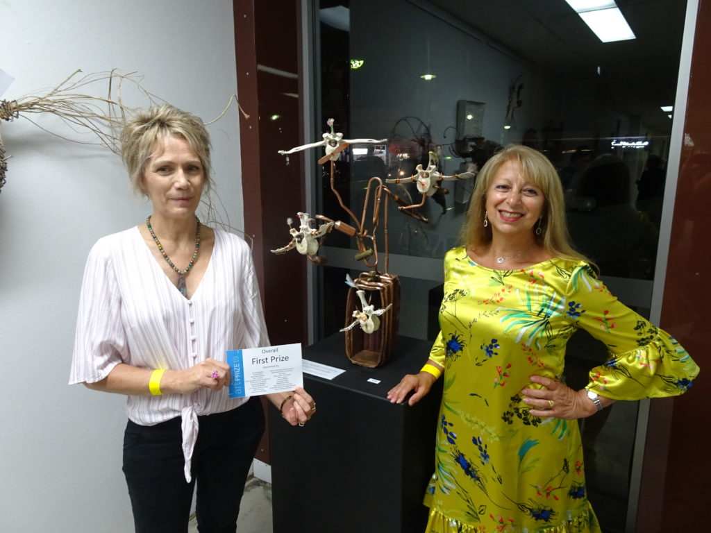 Gabrielle McDonald Bundaberg Arts Prize ’19 first prize Outback Avatar.