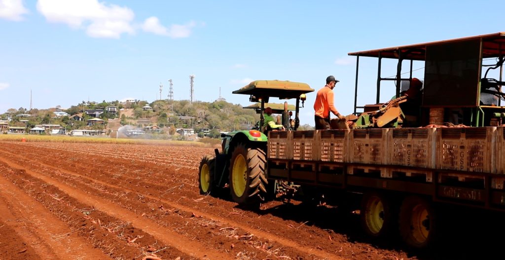 Greensill Farming Group