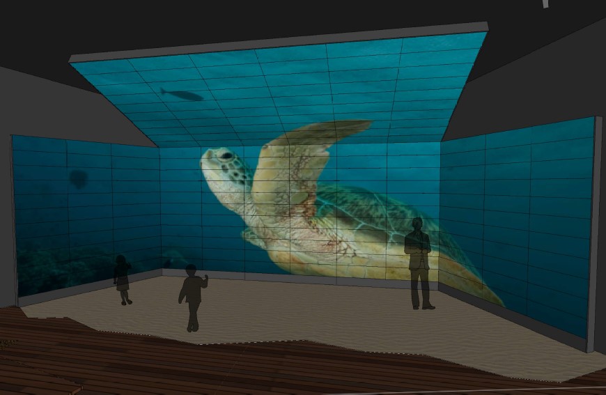 Immersive experience Mon Repos Turtle Centre
