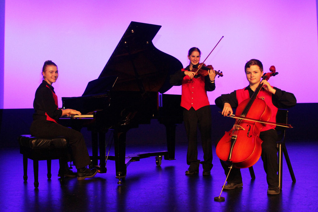 Shalom College Chamber String Ensemble