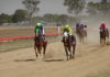 Ulton Race Day