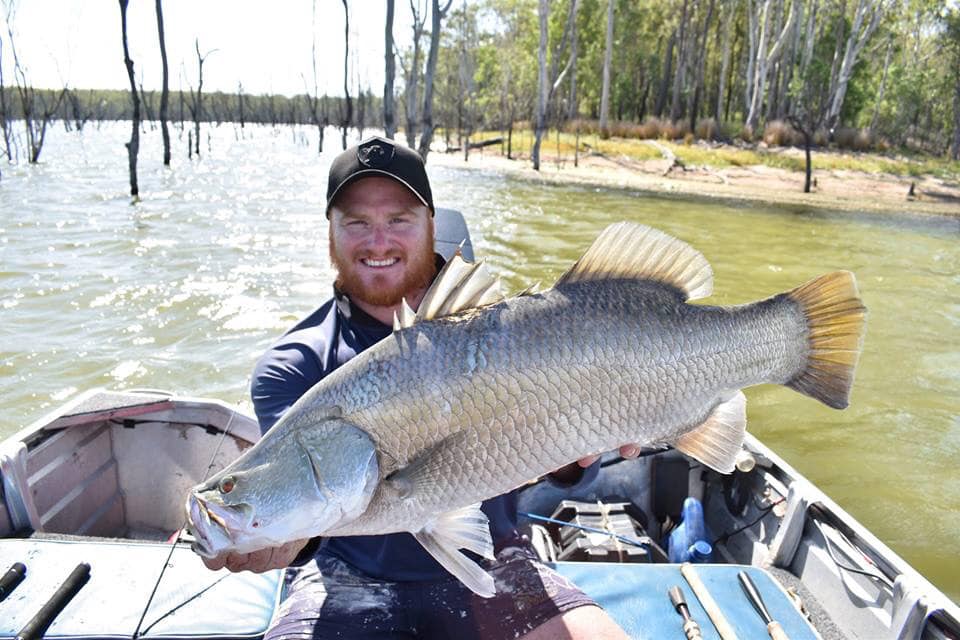 2019 golden barra