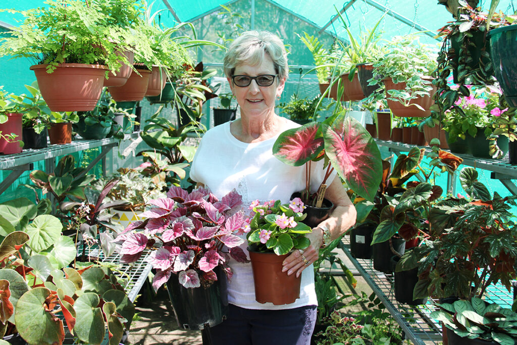 Bundaberg Bush House and Garden Club