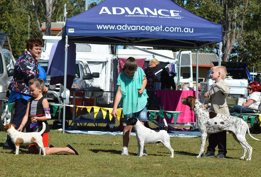 Dogs of all shapes and sizes will be strutting their stuff at this weekend's 2019 Purebred Allbreeds Dog Show.