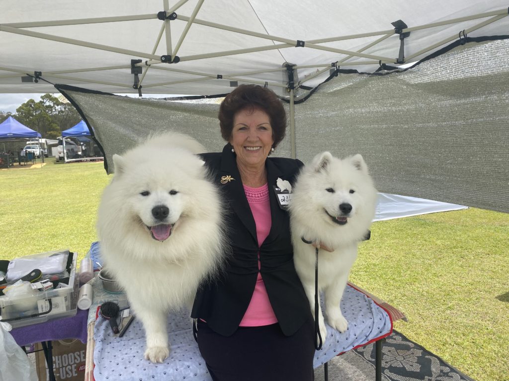 2019 Purebred Allbreeds Dog Show in Bundaberg