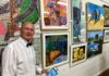Woodgate Arts in Spring Festival