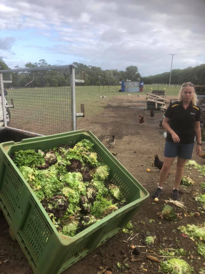 A huge load of veggies donated by The Lettuce Patch.