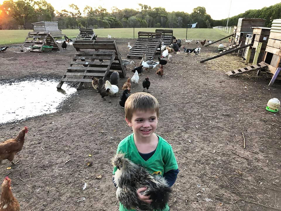 William Bickerton lending a helping hand at Kind and Friendly to Chickens.