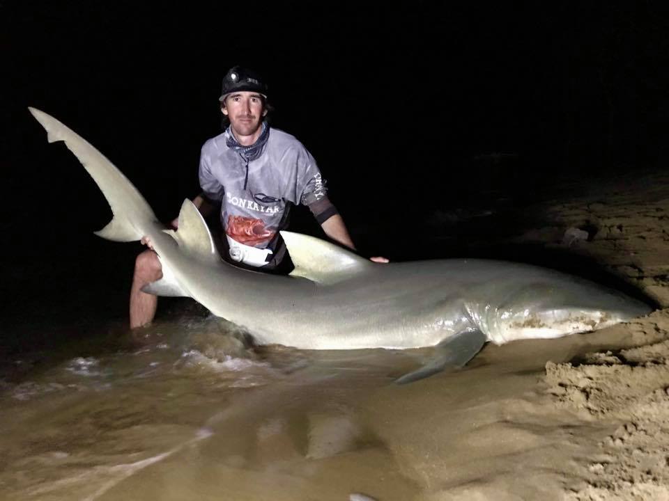 Burnett River sharks fished for research - Bundaberg Now