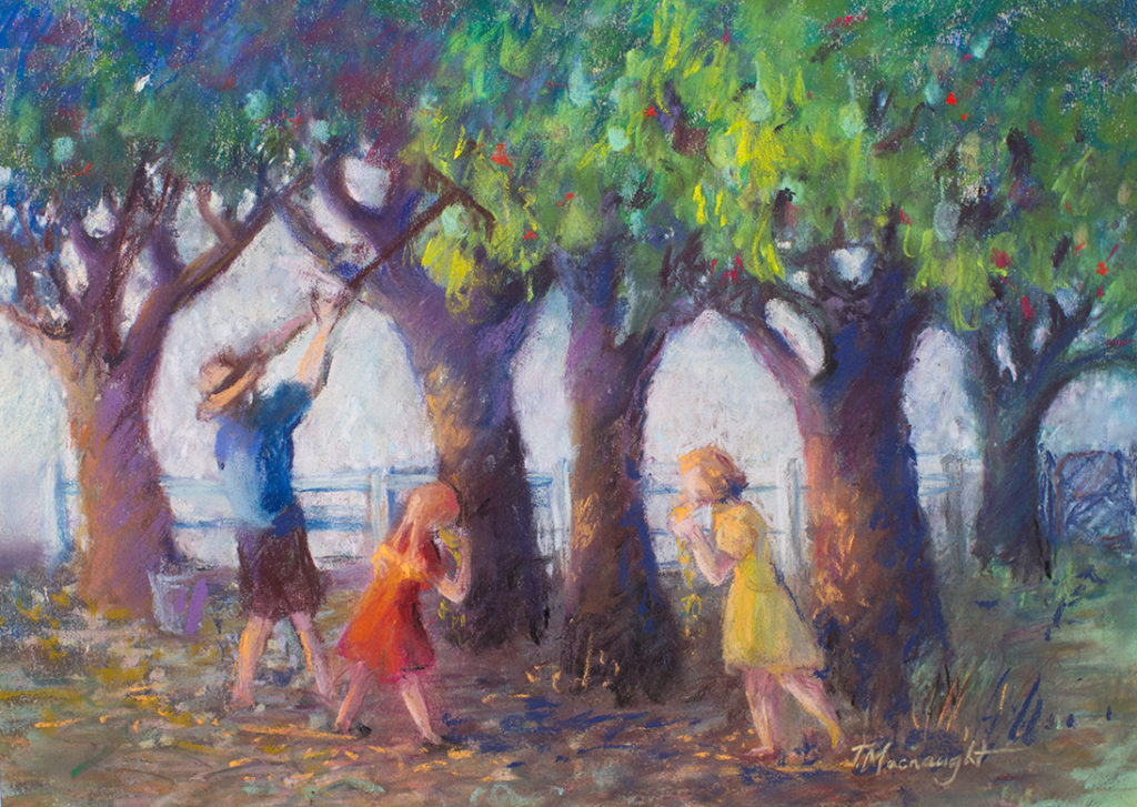 Mango Season by Joan Macnaught.