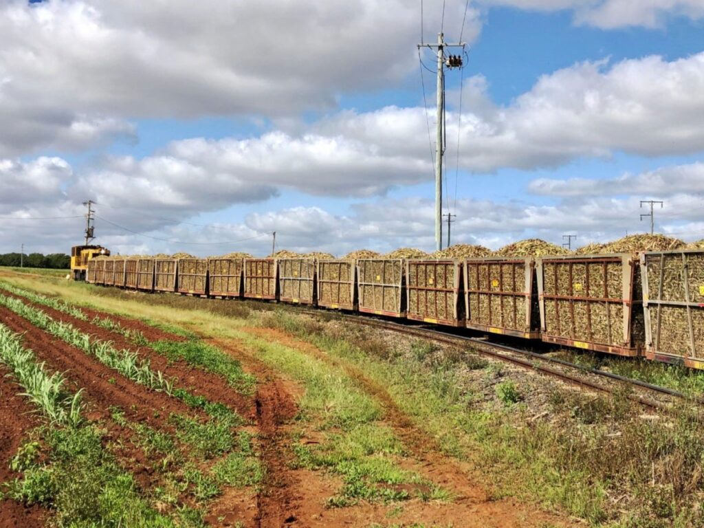 Isis Central Sugar Mill cane train