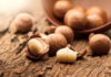 macadamia growth