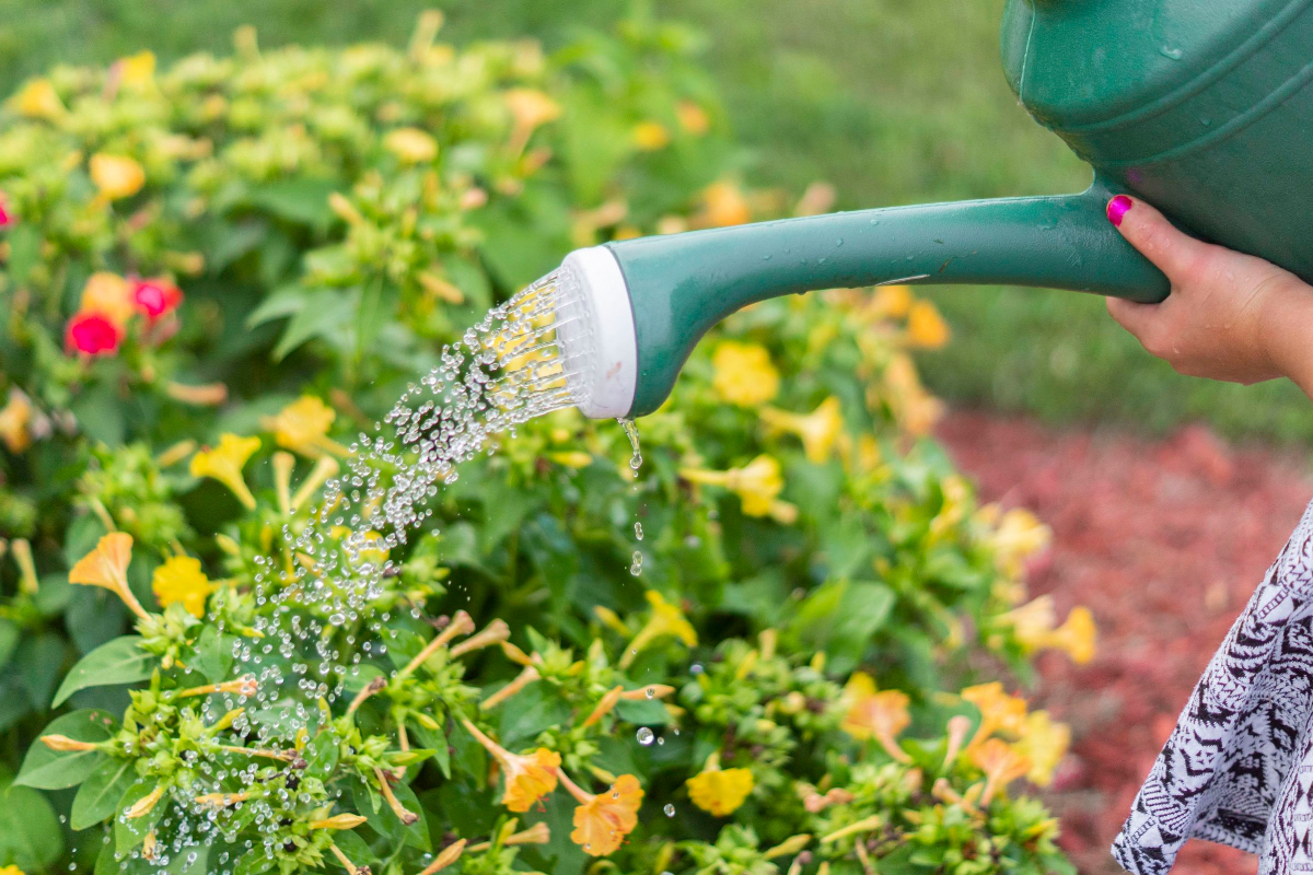  Transform Your Garden, 10 Water-Saving Tips for Lush Greenery