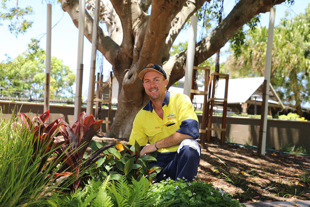 fig tree garden