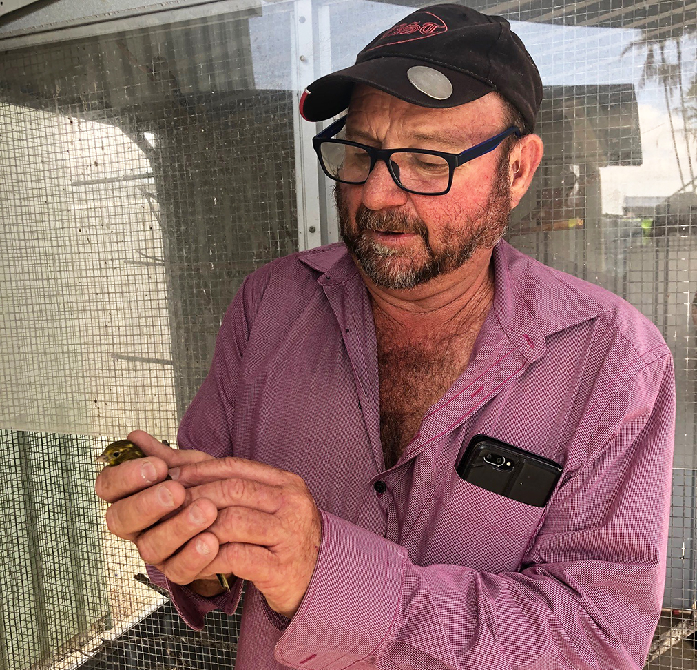 Bundaberg bird breeder Kevin Hick with one of the many canaries.