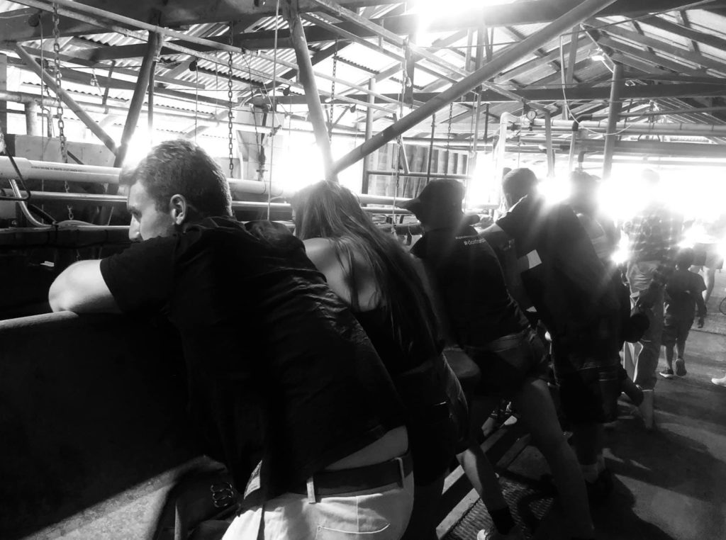 The last tour at CQ Dairy Fresh held in October