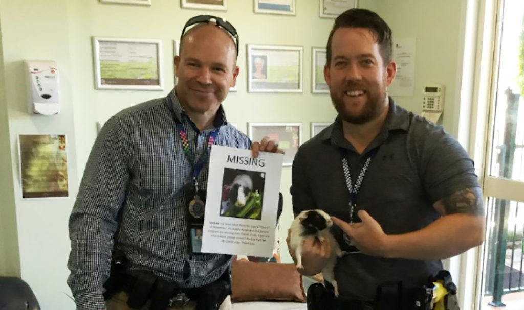 Local detectives from the Bundaberg Crime Unit returning Speedy the guinea pig.