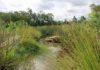 belle eden park waterway