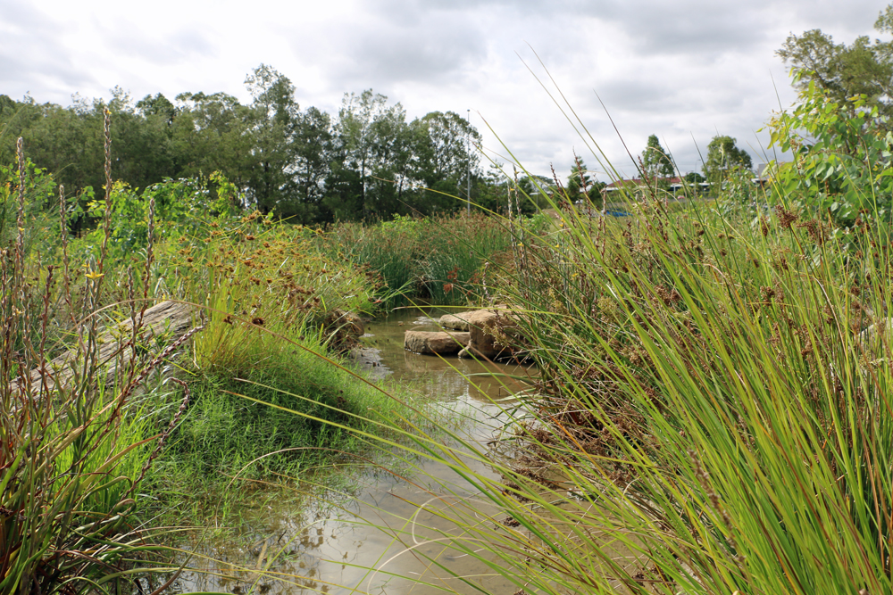 belle eden waterway