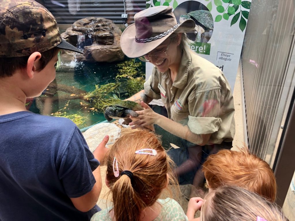 Zoo keeper Aimee Diamond shows off Alby to the crowd