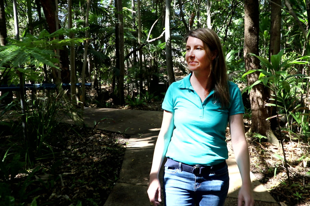 Botanic Gardens rainforest