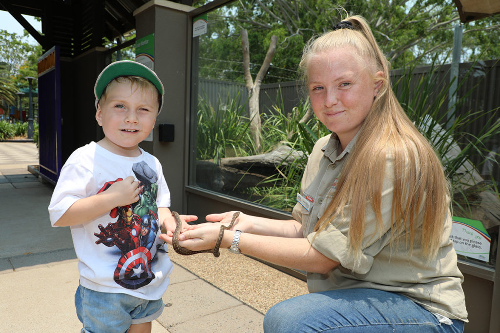 Alexandra Park Zoo Christmas