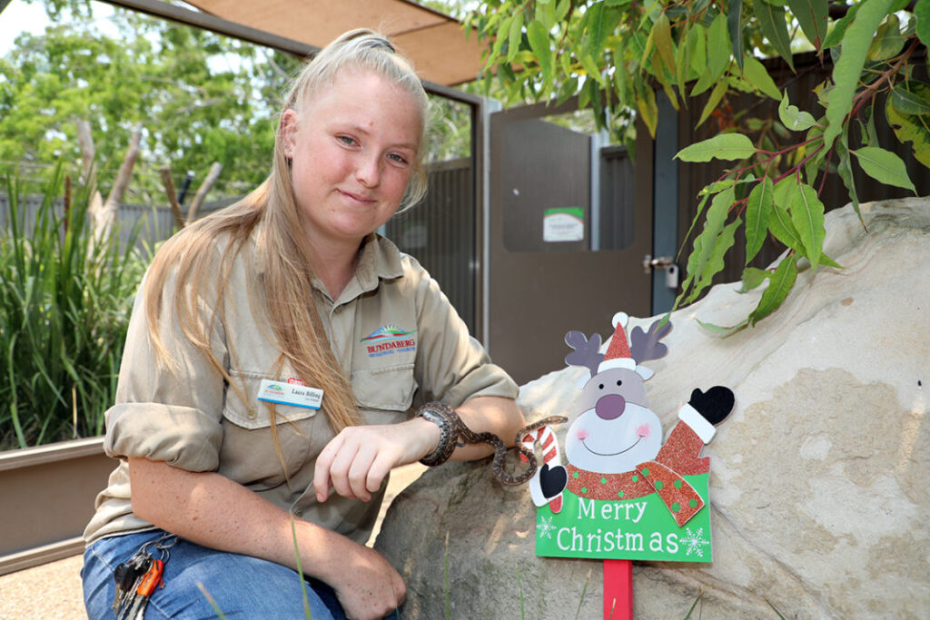 Alexandra Park Zoo Christmas