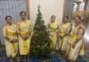 Bundaberg Indian Malayalee Christmas