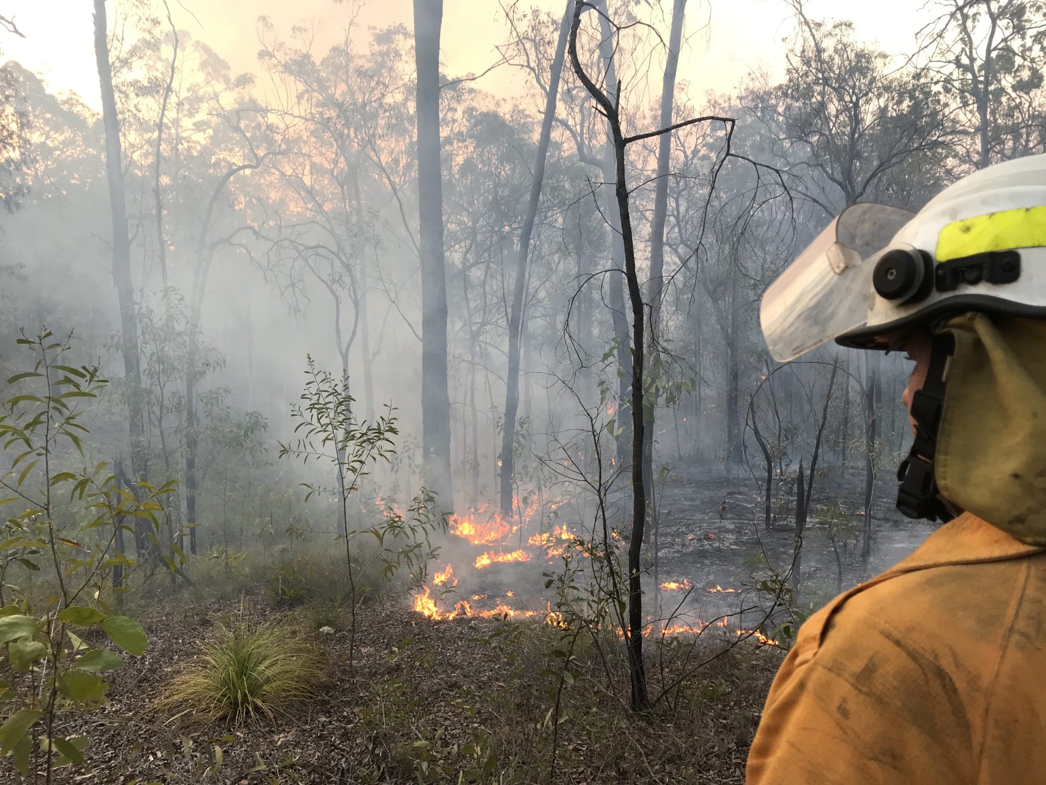 Gregory River Fire