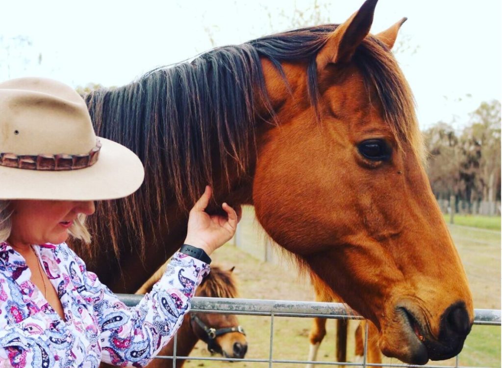 Splitters Farm bushfire