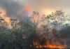 Gregory River fire
