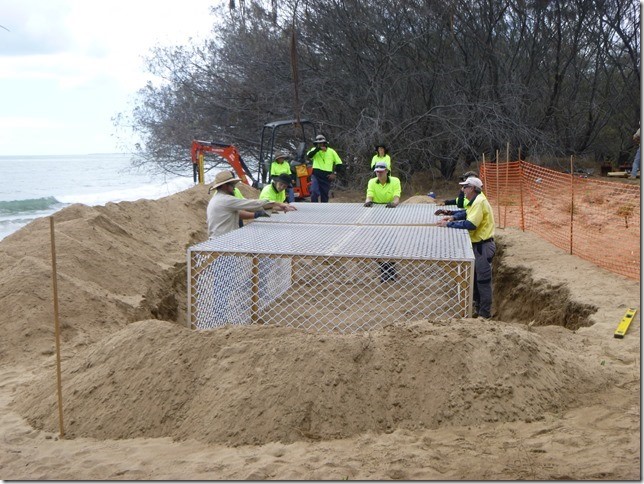Turtle nursery cage at Moore Park Beach
