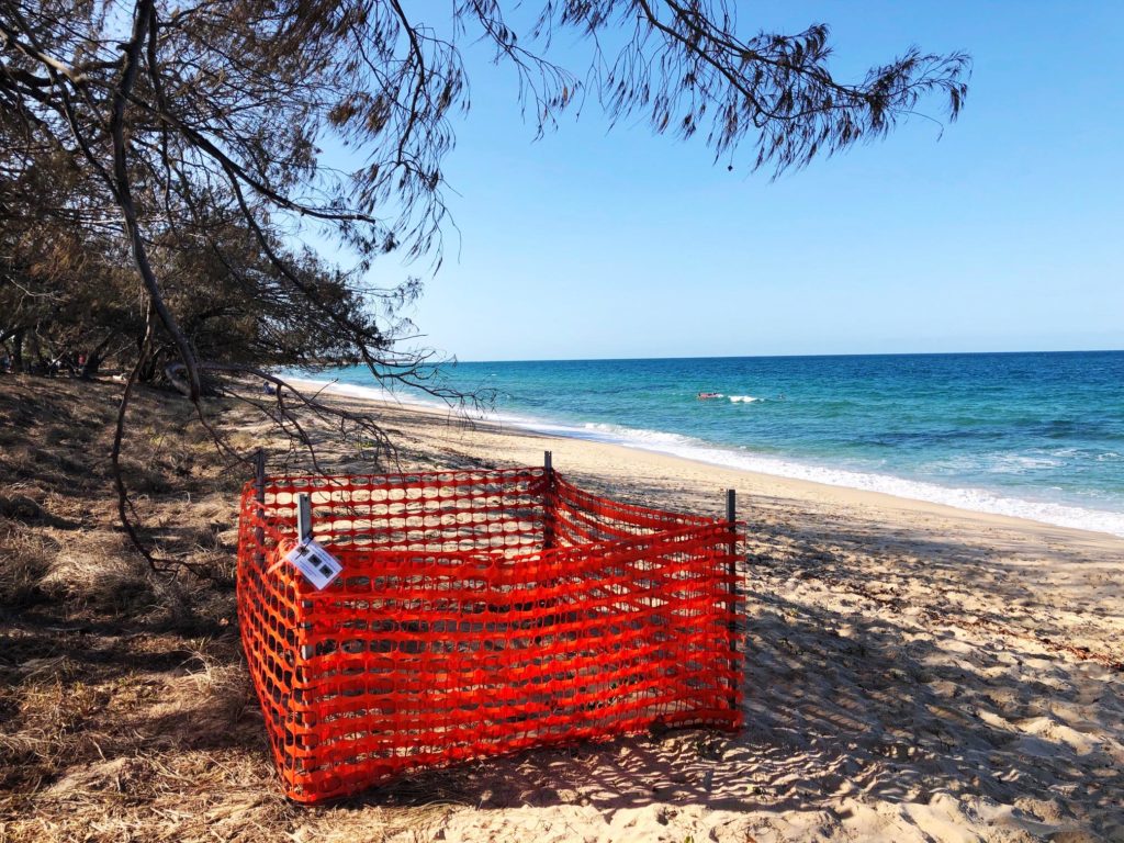 A protective enclosure advises beach goers that the turtle nesting site should remain undisturbed.