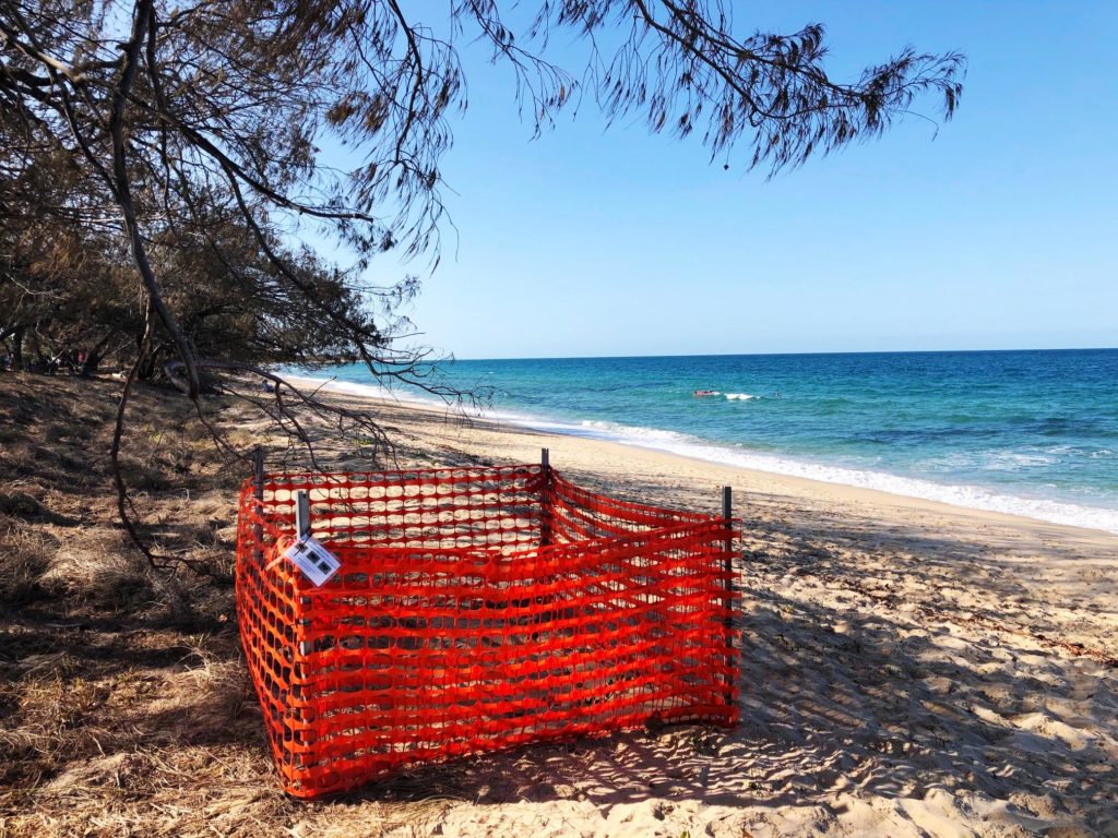 A protective enclosure advises beach goers that the turtle nesting site should remain undisturbed.
