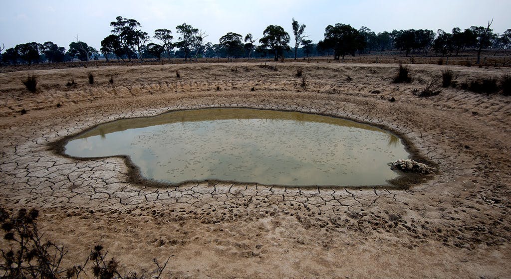 Bundaberg driest-ever year drought