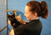 RSPCA