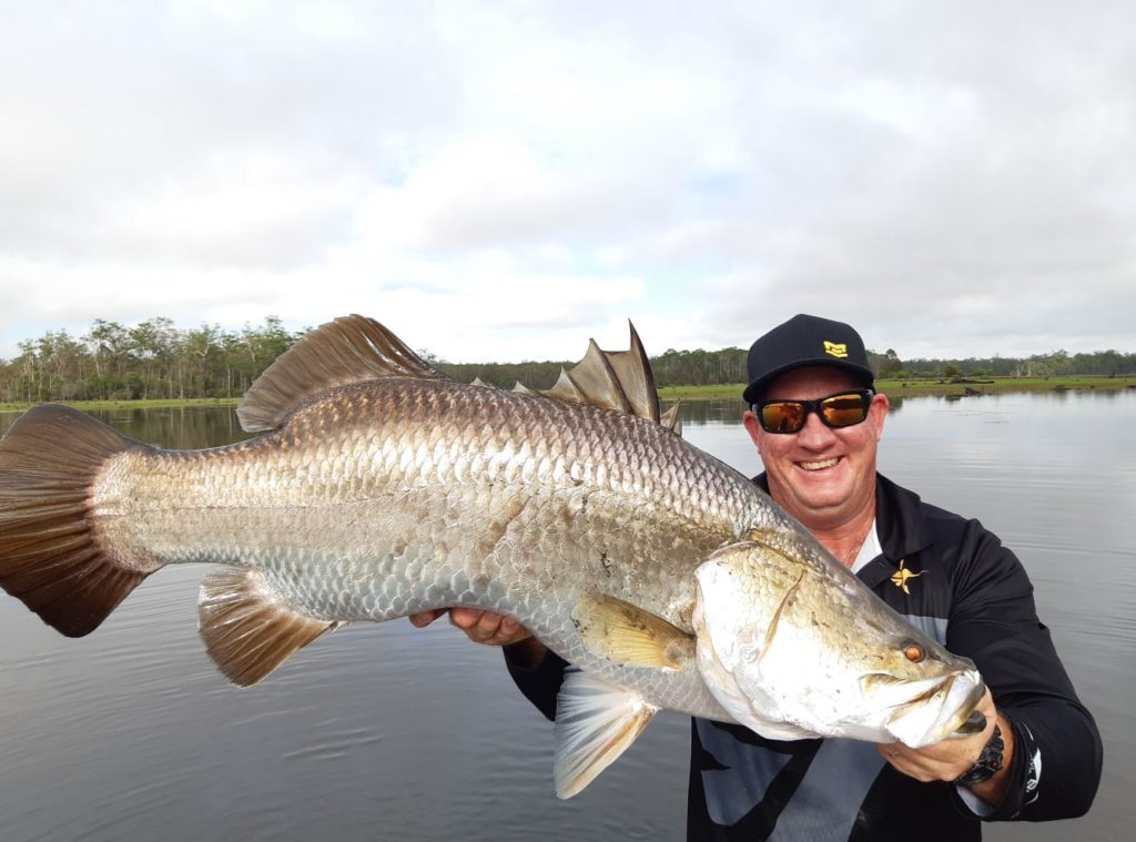 bull sharks and barra