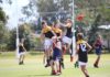 AFL