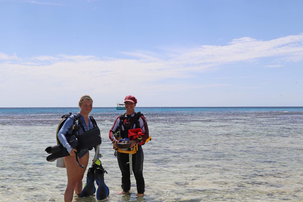 Lady Elliot Island