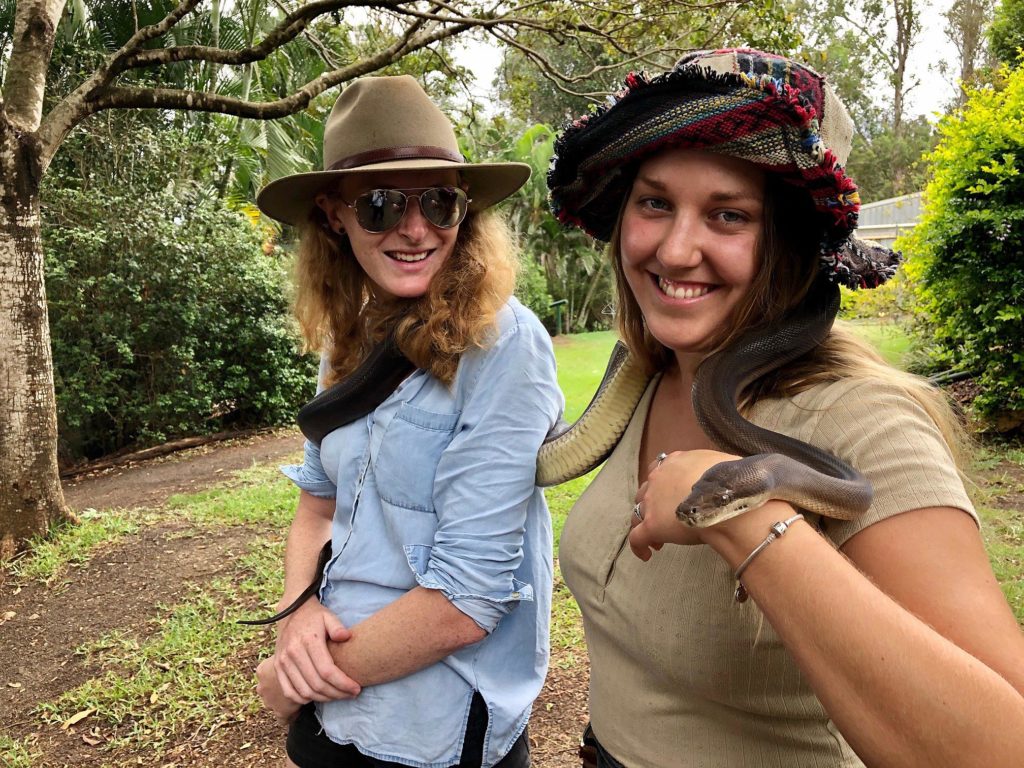 Getting acquainted with “Ollie” the Olive Python at Snakes Downunder were visitors Anne James (left) and Jane Callan.