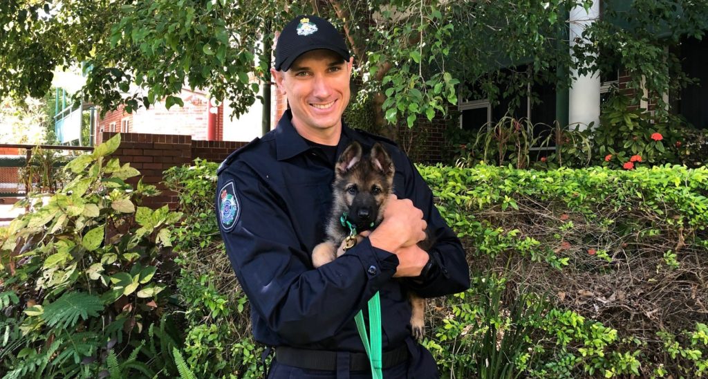 police puppy