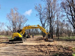 Council workers are currently clearing fallen and dangerous tress in the Wallum Reserve rest area as part of a program of works prior to the reopening of the area.