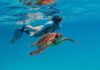 Bundaberg trending destination